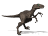 dinosaures-65